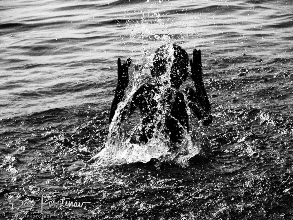 Chembe Village, Cape MacClear, Lake Malawi, Malawi, Africa