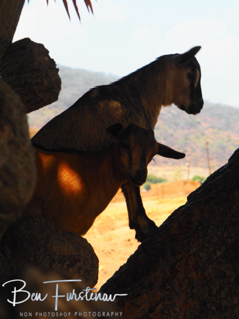 Chembe Village, Cape MacClear, Lake Malawi, Malawi, Africa