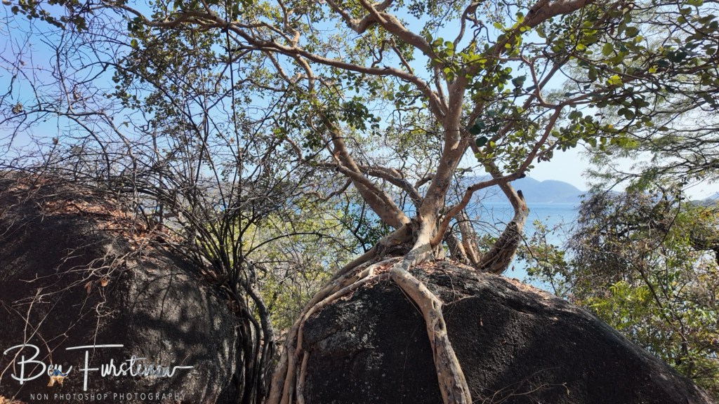 Otter Point, Cape MacClear, Lake Malawi, Malawi, Africa