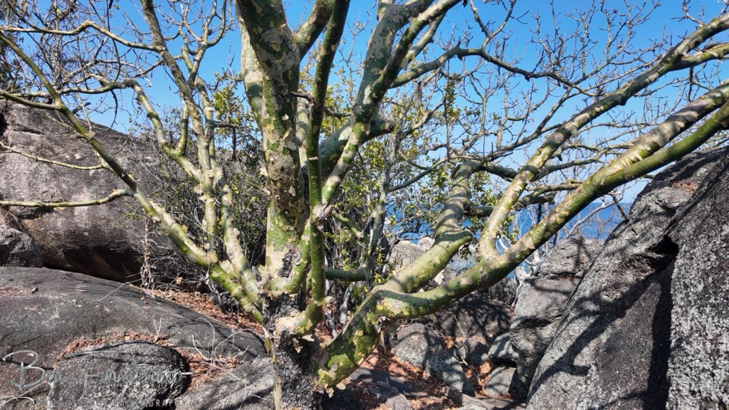 Otter Point, Cape MacClear, Lake Malawi, Malawi, Africa