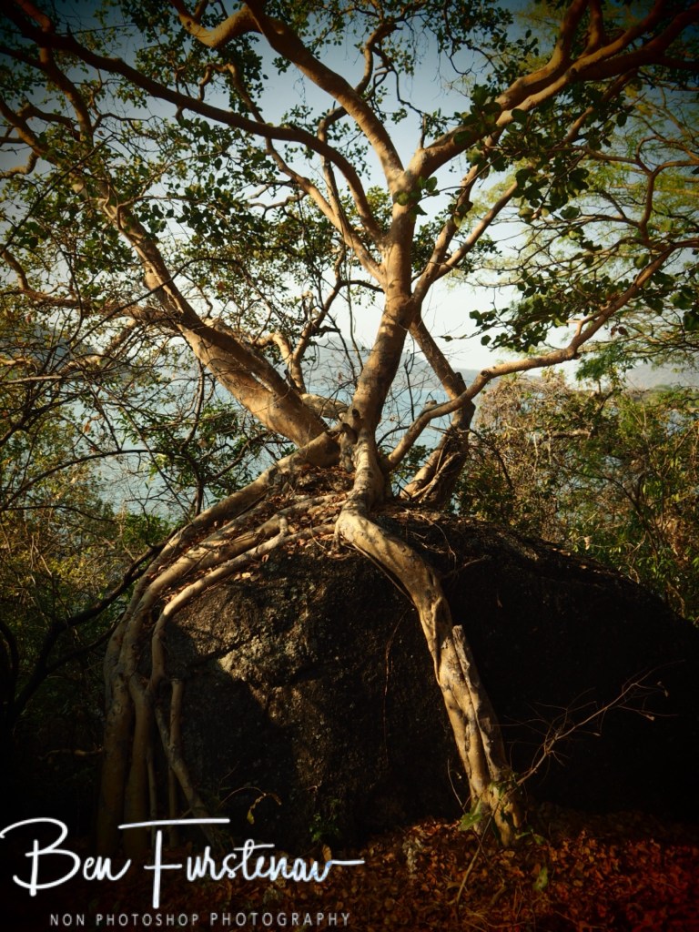 Otter Point, Cape MacClear, Lake Malawi, Malawi, Africa