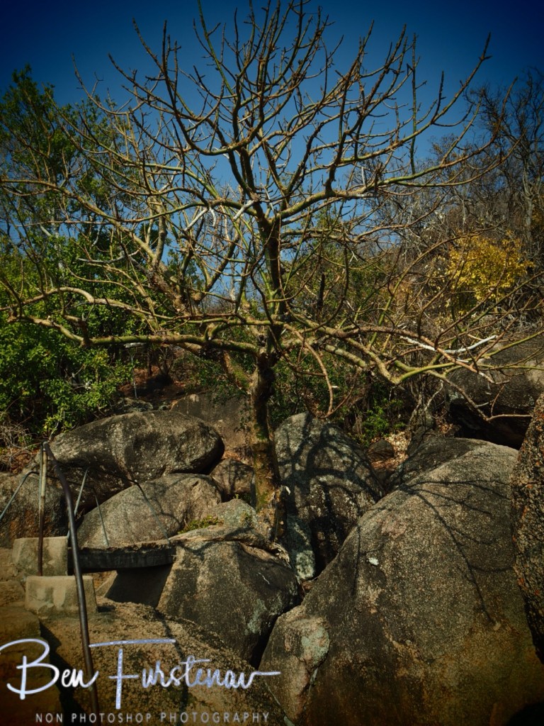 Otter Point, Cape MacClear, Lake Malawi, Malawi, Africa