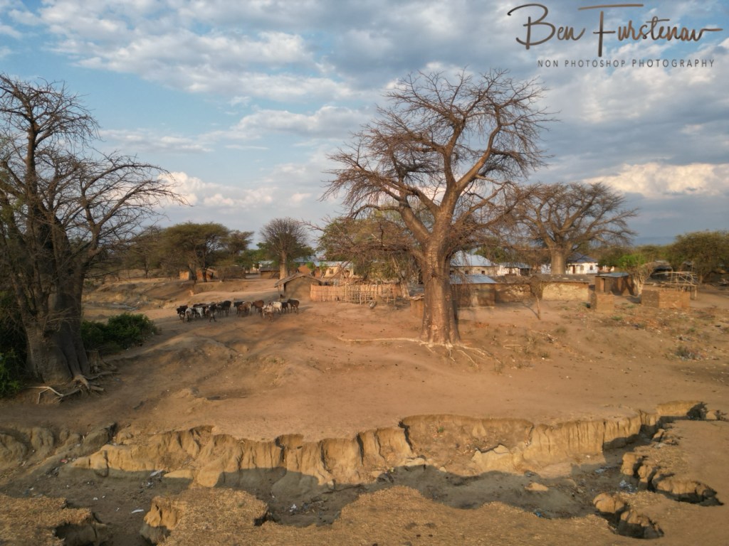 Mangoma Area, Malawi, Africa