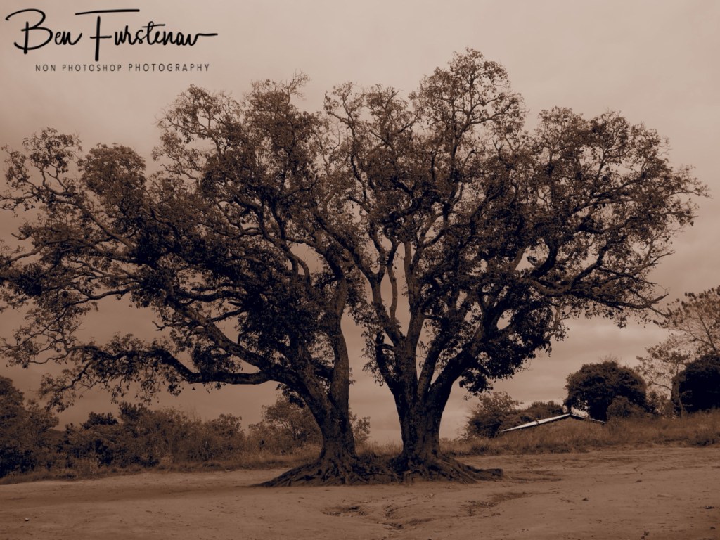 Nhkata Bay, Lake Malawi, Malawi, Africa