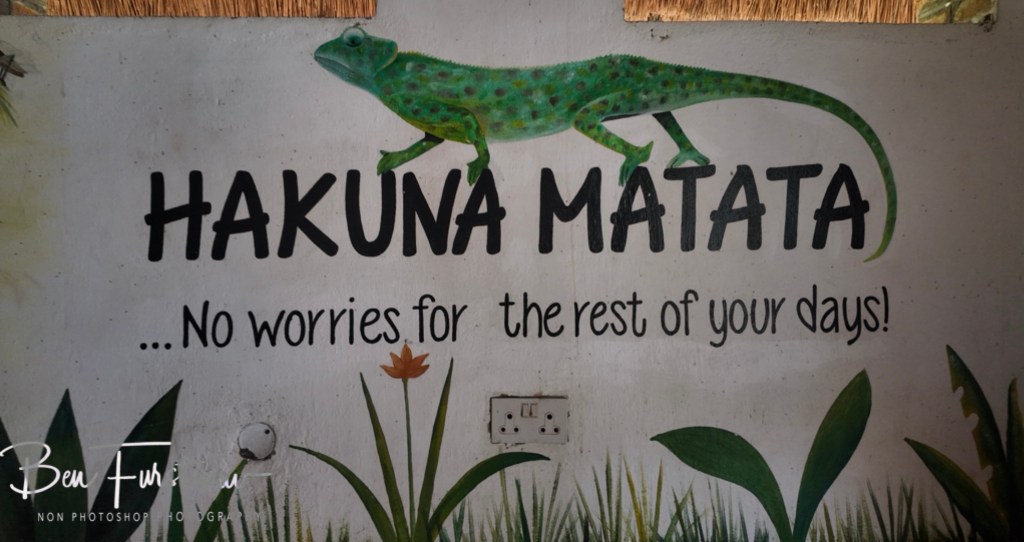 Sungo Moya, Nhkata Bay, Lake Malawi, Malawi, Africa