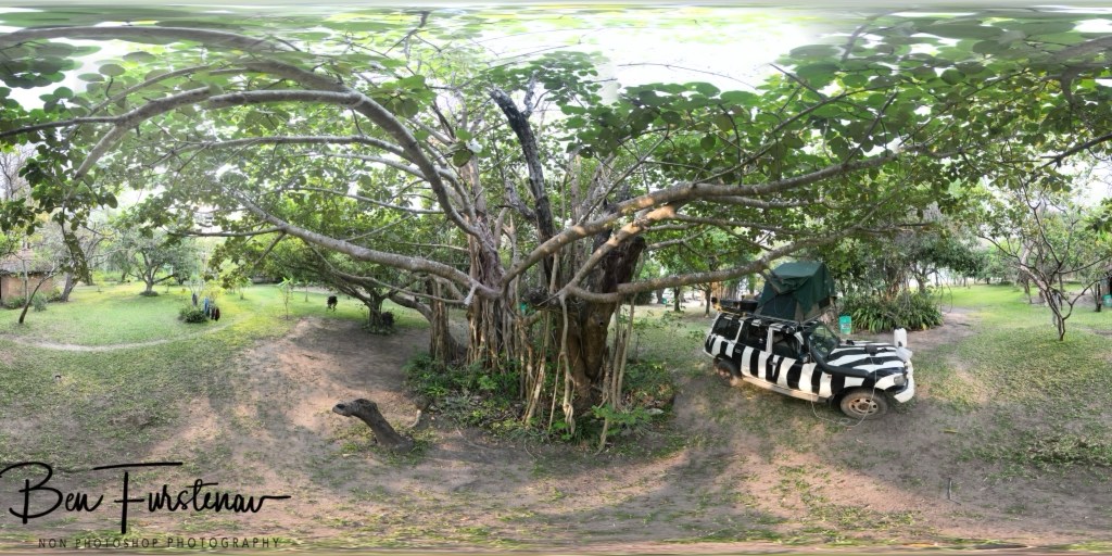 Sungo Moya, Nhkata Bay, Lake Malawi, Malawi, Africa