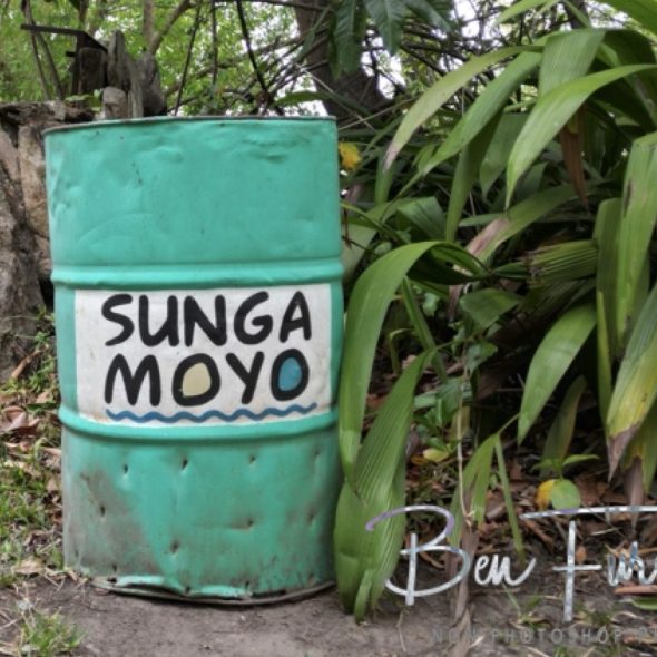 Sungo Moya, Nhkata Bay, Lake Malawi, Malawi, Africa