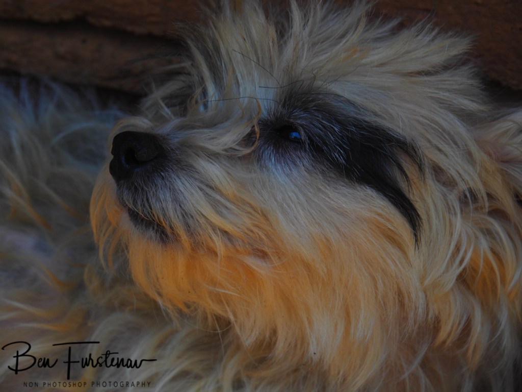 Quest Lodges and Safari, Lilongwe, Malawi, Africa