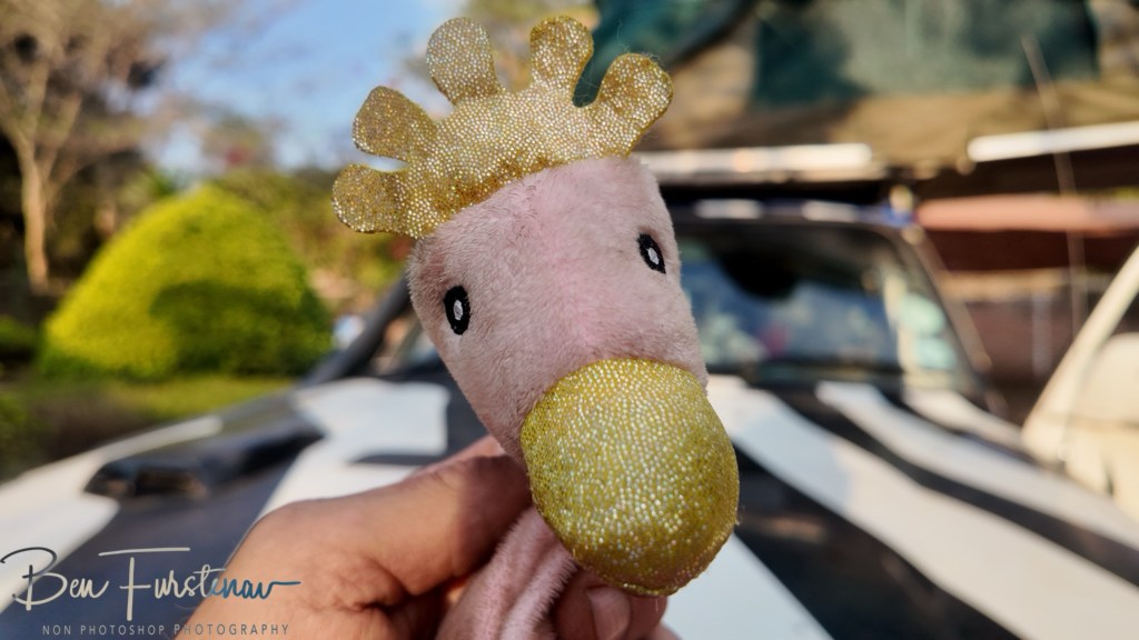 Quest Lodges and Safari, Lilongwe, Malawi, Africa