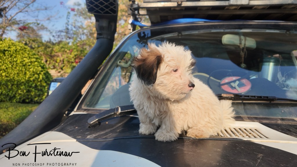 Quest Lodges and Safari, Lilongwe, Malawi, Africa