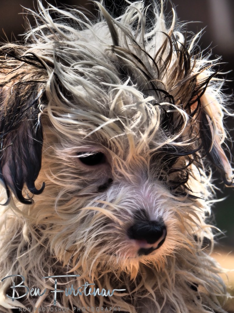 Quest Lodges and Safari, Lilongwe, Malawi, Africa