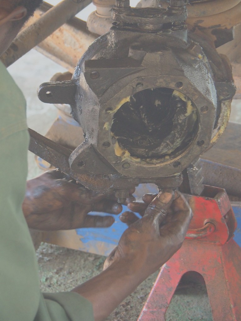 Nhakotakoya Wildlife Reserve, Malawi, Africa