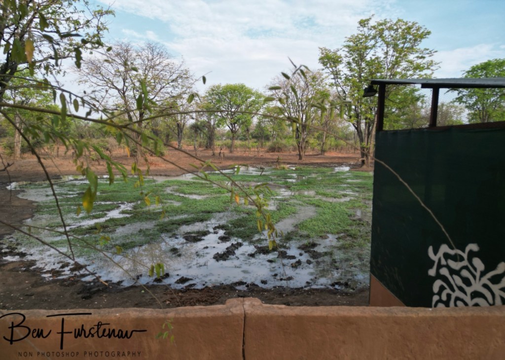 Wildlife Camp, Mfue, Zambia, Africa