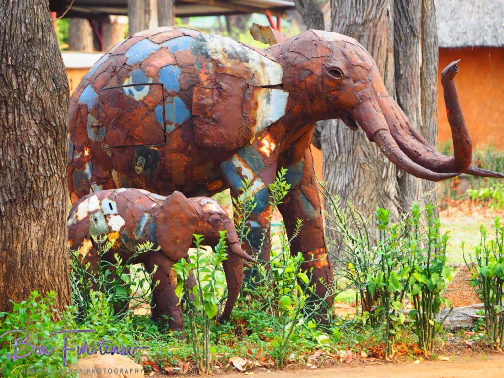 Wildlife Camp, Mfue, Zambia, Africa