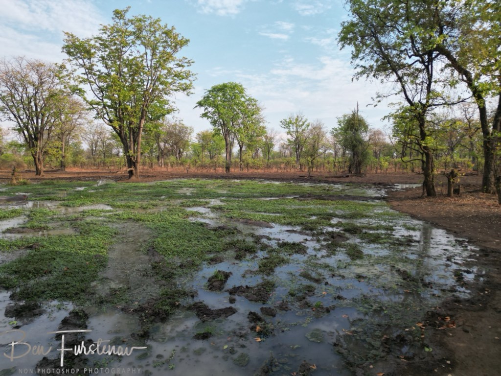Wildlife Camp, Mfue, Zambia, Africa
