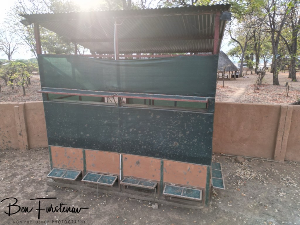 Wildlife Camp, Mfue, Zambia, Africa