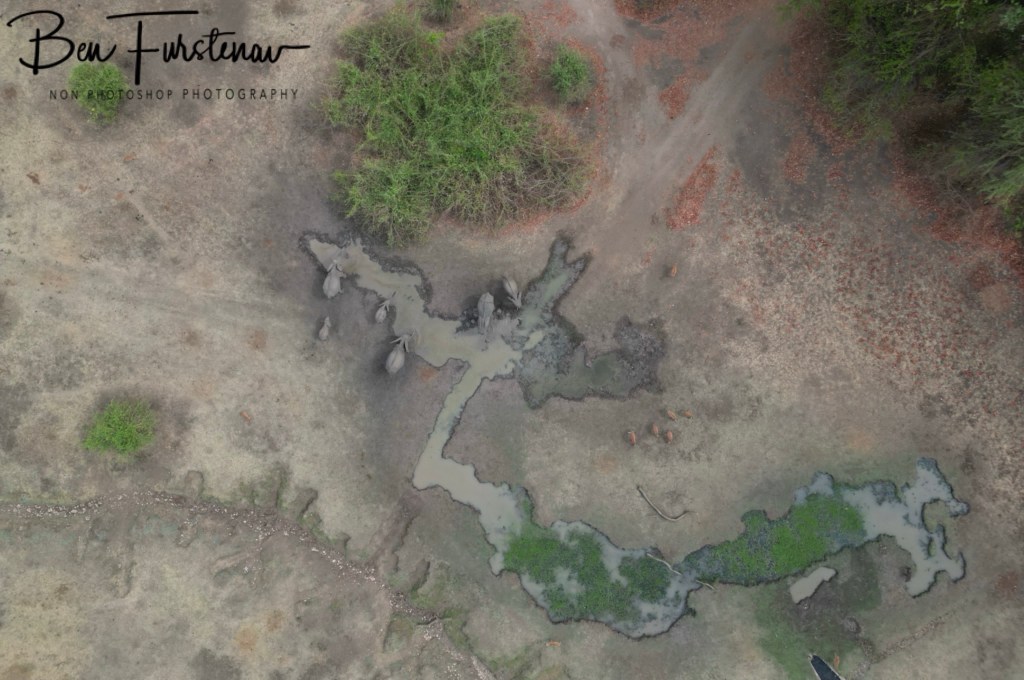 Wildlife Camp, Mfue, Zambia, Africa