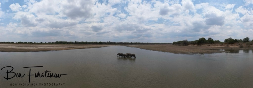 Wildlife Camp, Mfue, Zambia, Africa