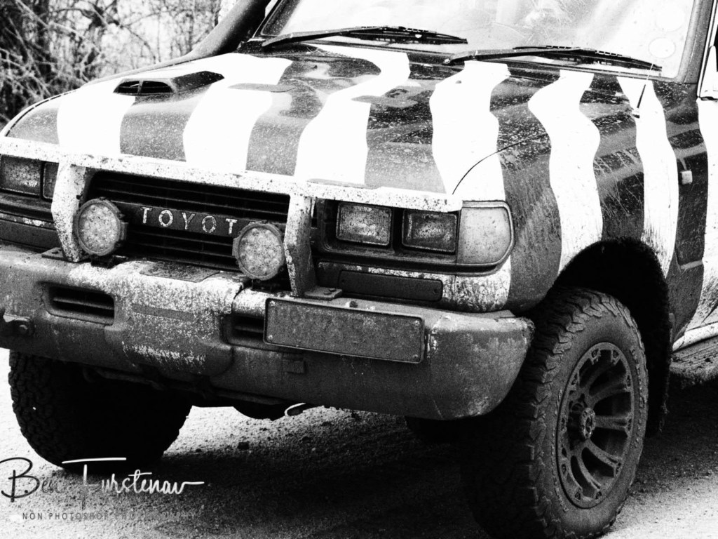 Luangwa Valley, Mfue, Zambia, Africa