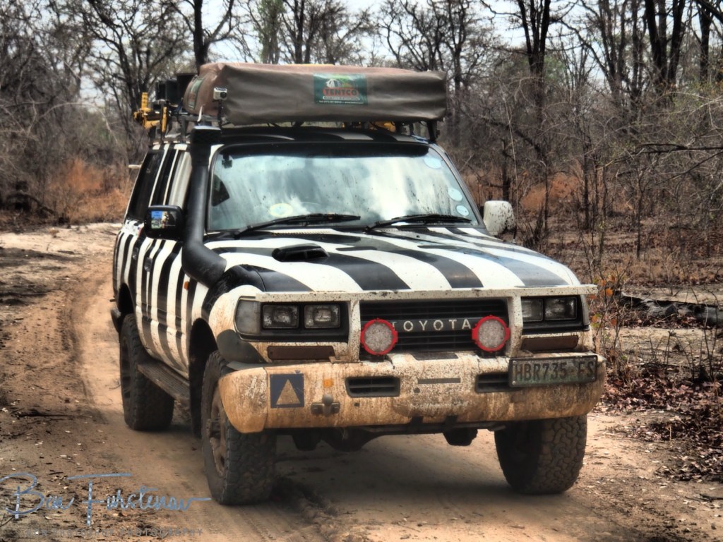 Luangwa Valley, Mfue, Zambia, Africa