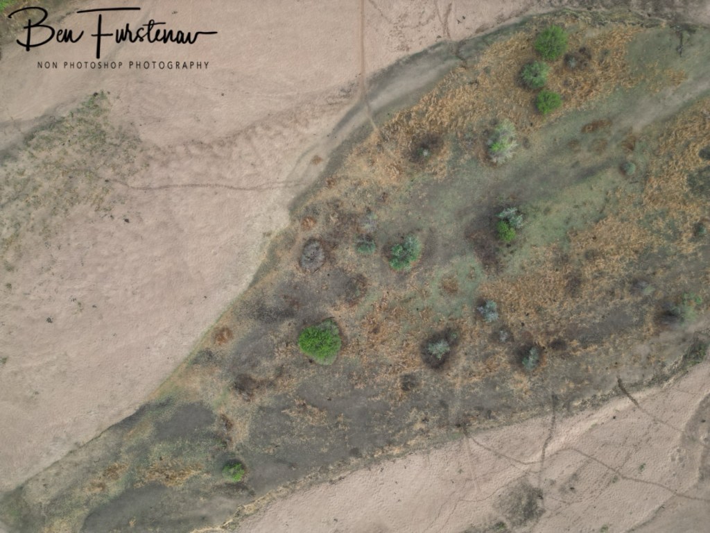 Luangwa Valley, Mfue, Zambia, Africa