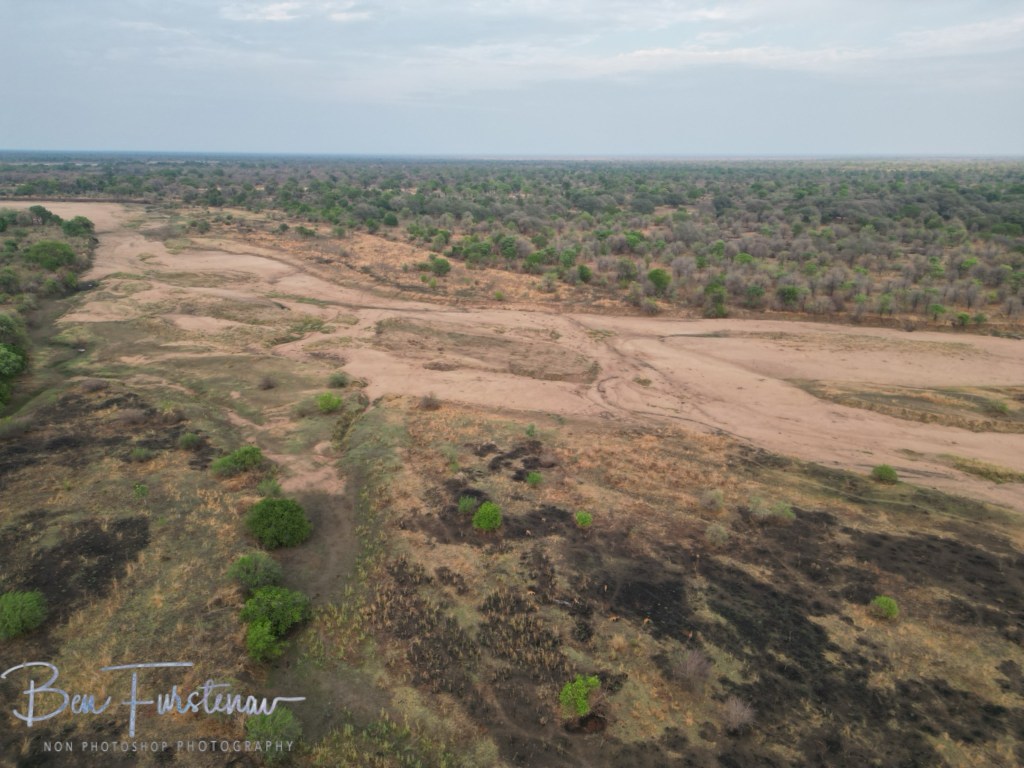 Luangwa Valley, Mfue, Zambia, Africa