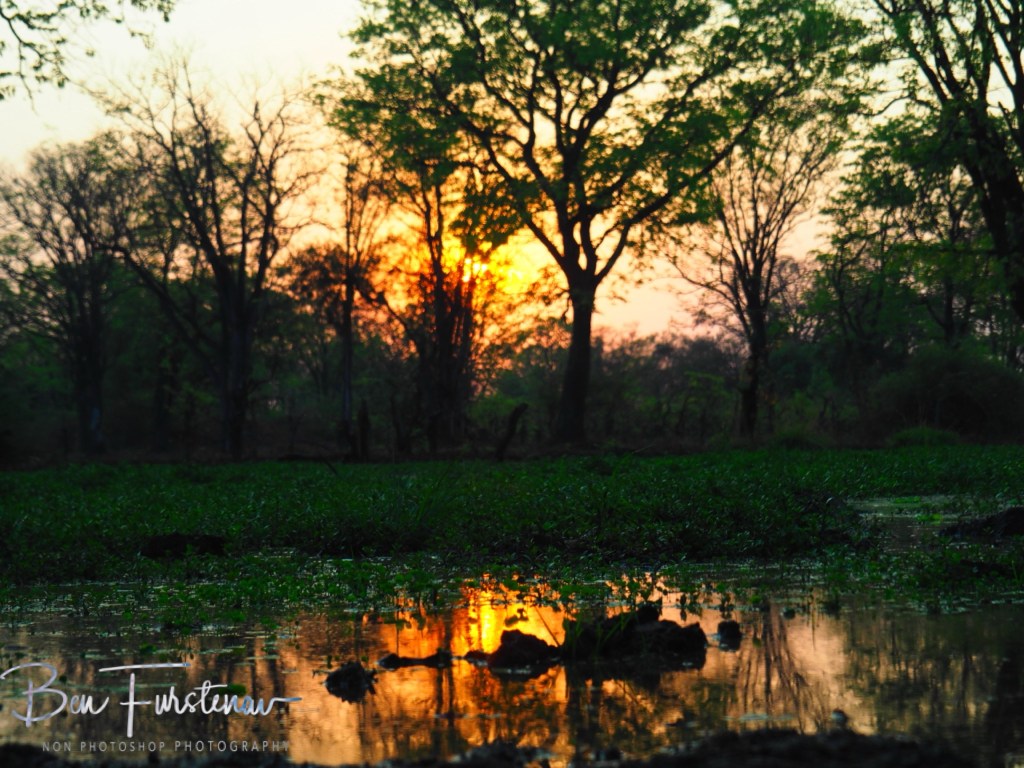 Wildlife Camp, Mfue, Zambia, Africa