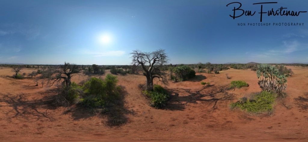 Luangwa River, Luangwa District, Zambia, Africa