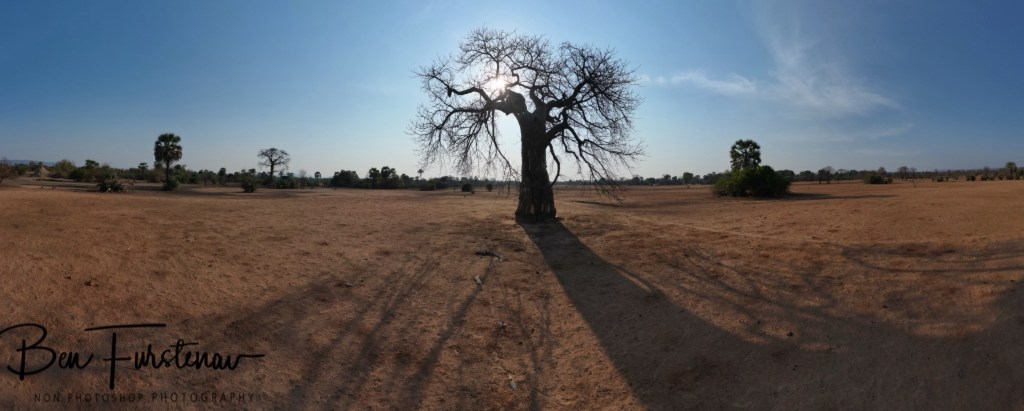 Luangwa River, Luangwa District, Zambia, Africa