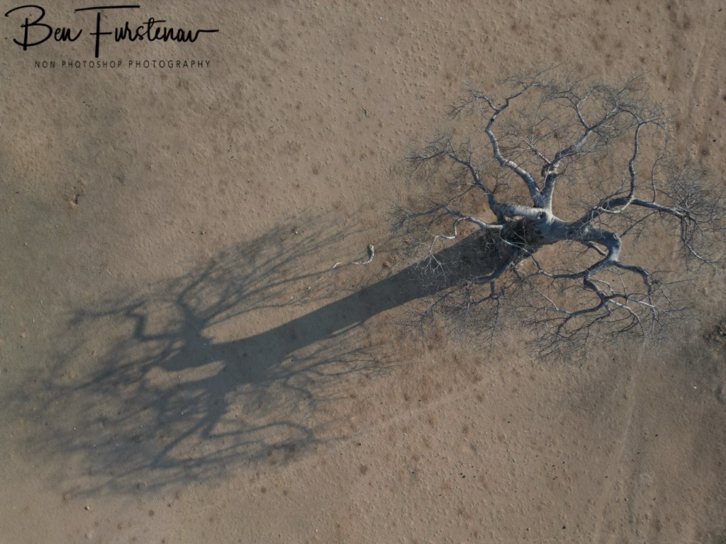 Luangwa River, Luangwa District, Zambia, Africa