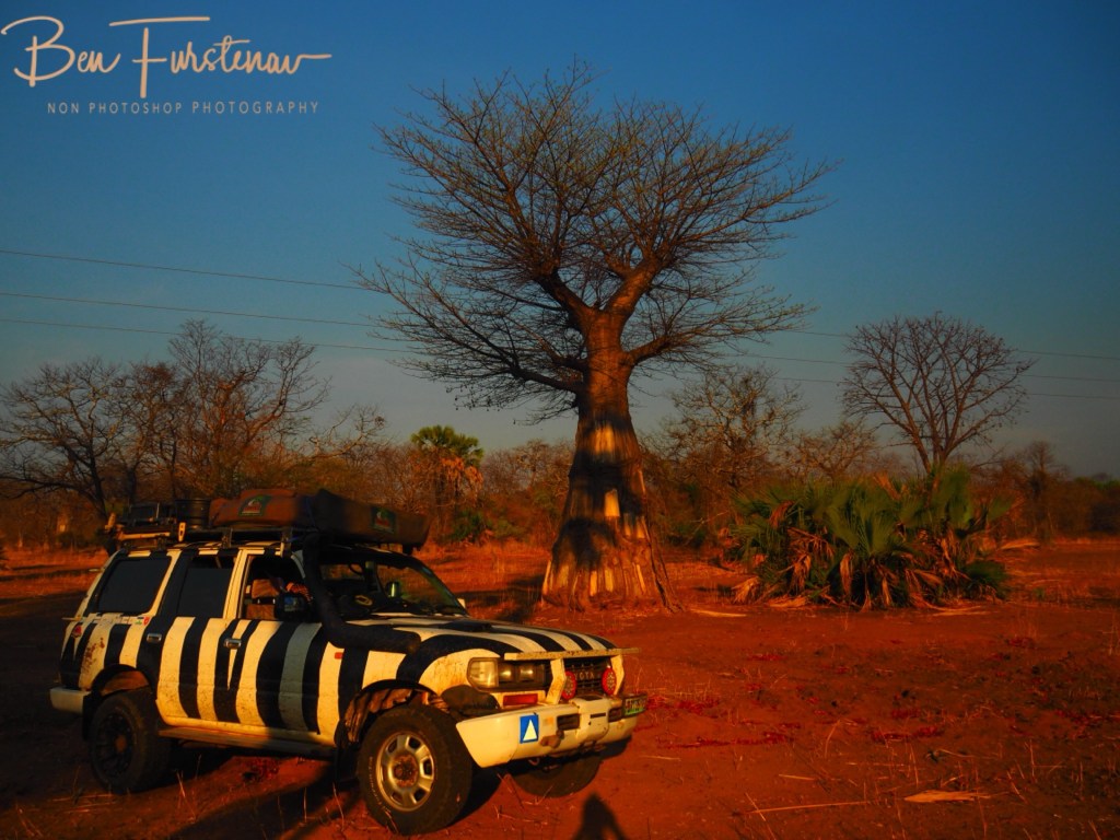 Luangwa River, Luangwa District, Zambia, Africa