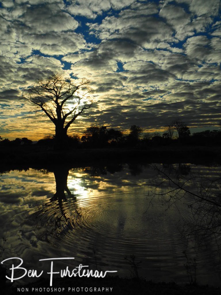 Luangwa River, Luangwa District, Zambia, Africa