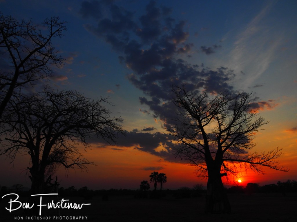 Luangwa River, Luangwa District, Zambia, Africa