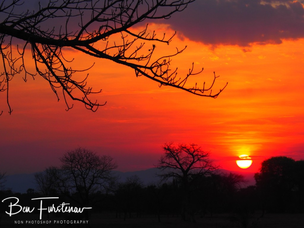 Luangwa River, Luangwa District, Zambia, Africa