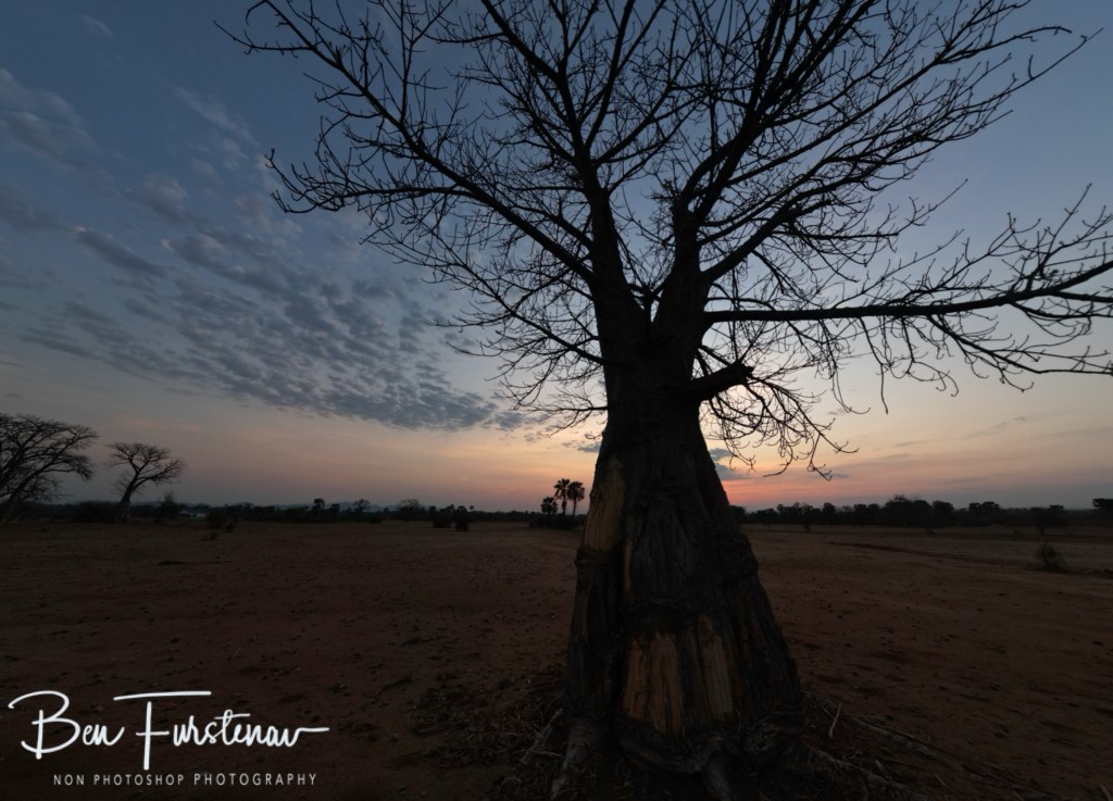 Luangwa River, Luangwa District, Zambia, Africa