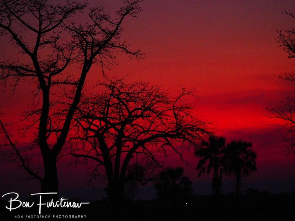 Luangwa River, Luangwa District, Zambia, Africa