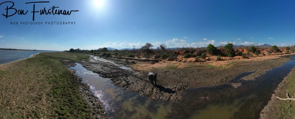 Lower Zambezi National Park, Chirundu, Zambia, Africa,