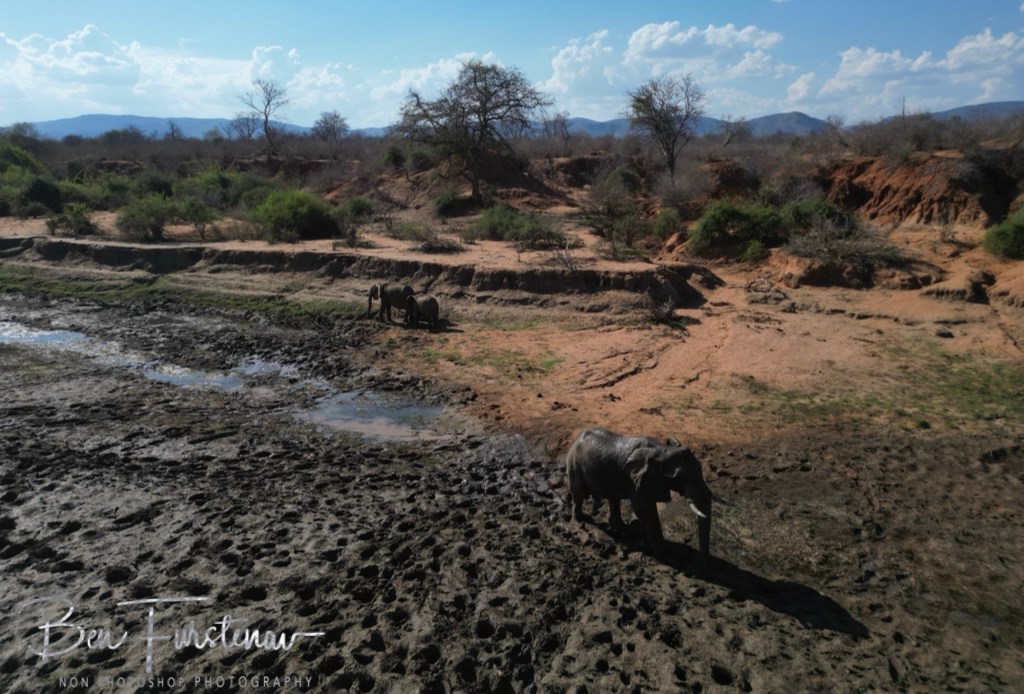Lower Zambezi National Park, Chirundu, Zambia, Africa,