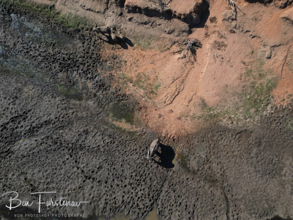 Lower Zambezi National Park, Chirundu, Zambia, Africa,
