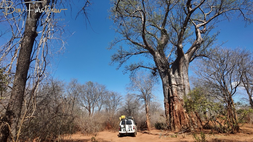 Lower Zambezi National Park, Chirundu, Zambia, Africa,