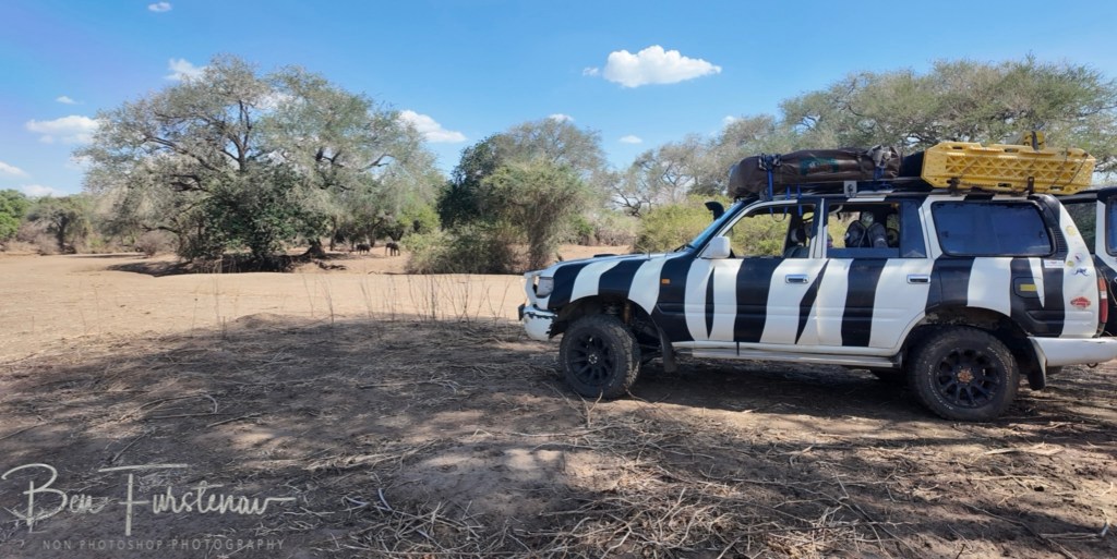 Lower Zambezi National Park, Chirundu, Zambia, Africa,