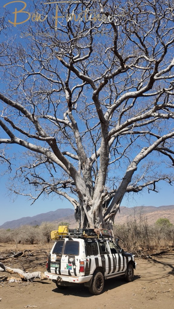Lower Zambezi National Park, Chirundu, Zambia, Africa,