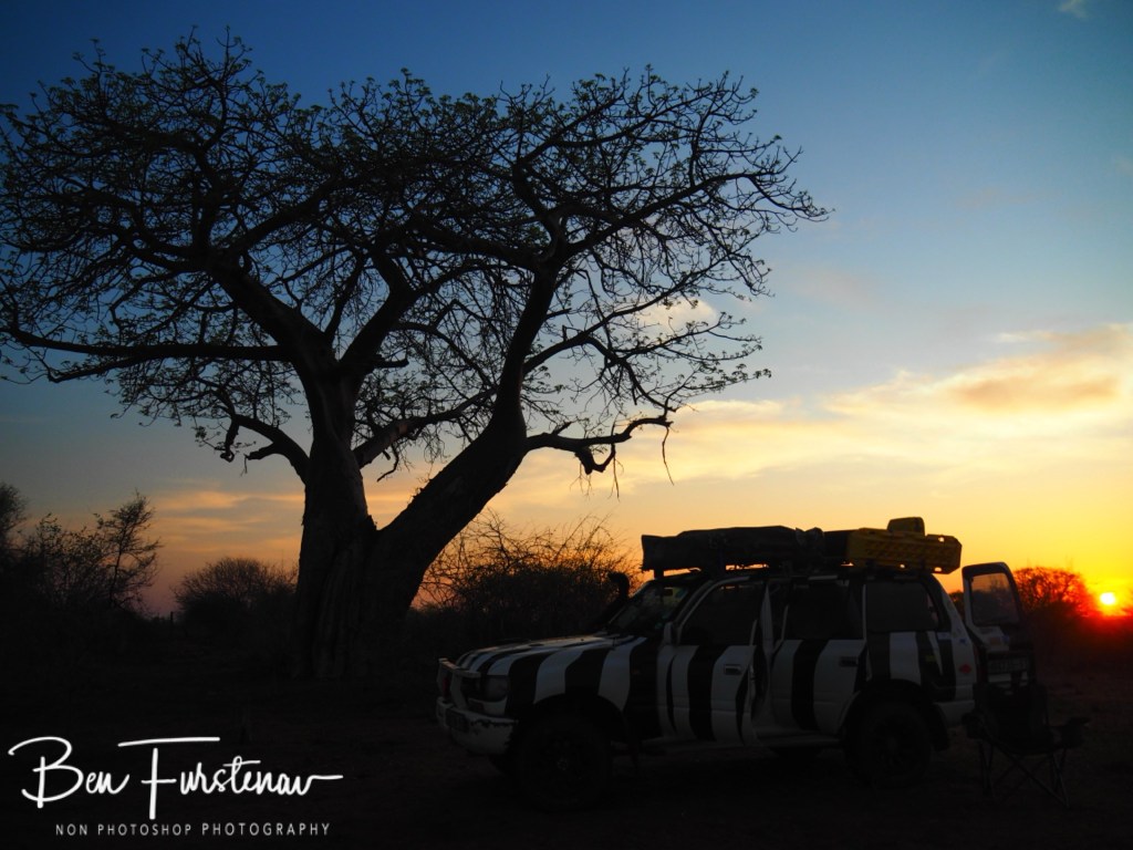 Lower Zambezi National Park, Chirundu, Zambia, Africa,