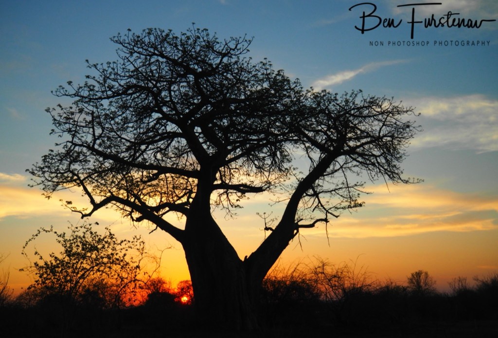 Lower Zambezi National Park, Chirundu, Zambia, Africa,