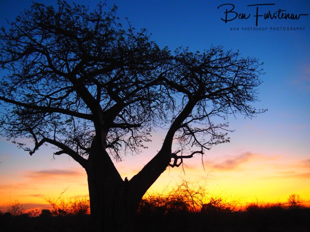 Lower Zambezi National Park, Chirundu, Zambia, Africa,