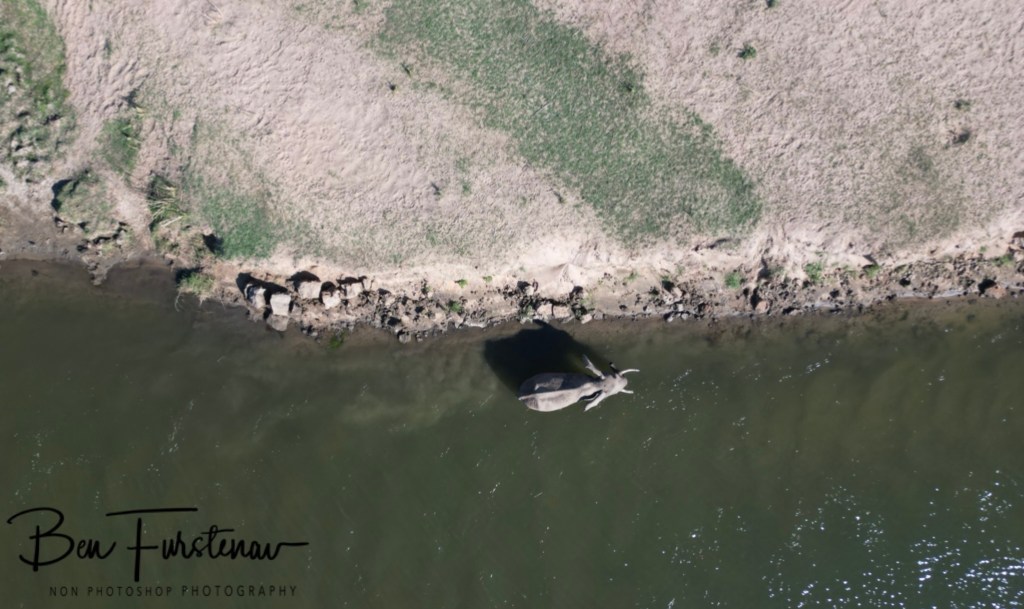 Lower Zambezi National Park, Chirundu, Zambia, Africa,