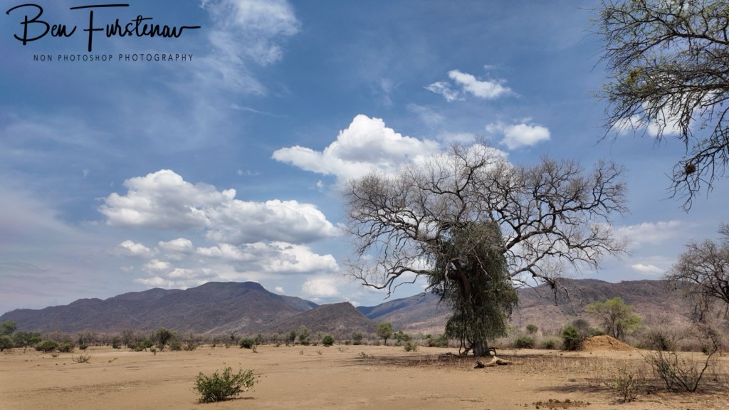 Lower Zambezi National Park, Chirundu, Zambia, Africa,