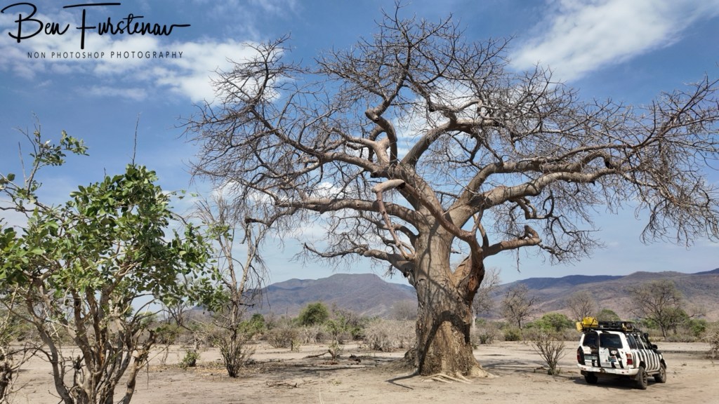 Lower Zambezi National Park, Chirundu, Zambia, Africa,