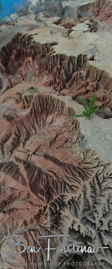 Lower Zambezi National Park, Chirundu, Zambia, Africa,