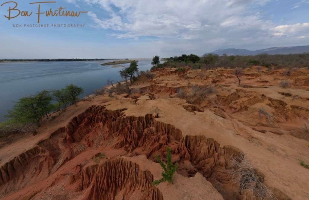 Lower Zambezi National Park, Chirundu, Zambia, Africa,